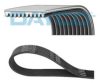 DAYCO 10PK1350HD V-Ribbed Belts